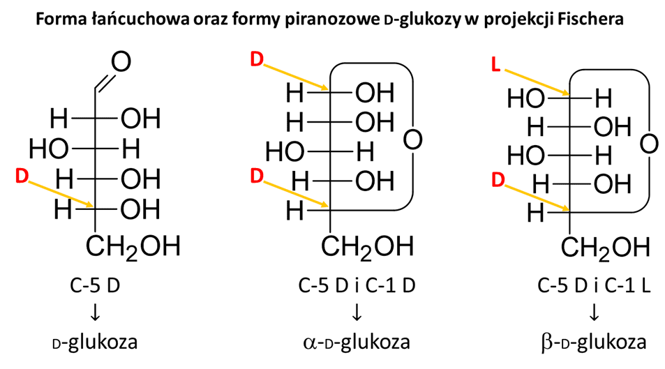 Obraz11.png